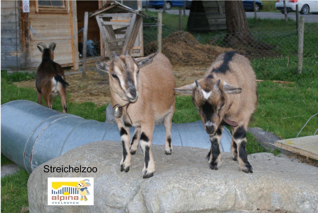 Ferien- Und Familienhotel Alpina Adelboden Exteriör bild