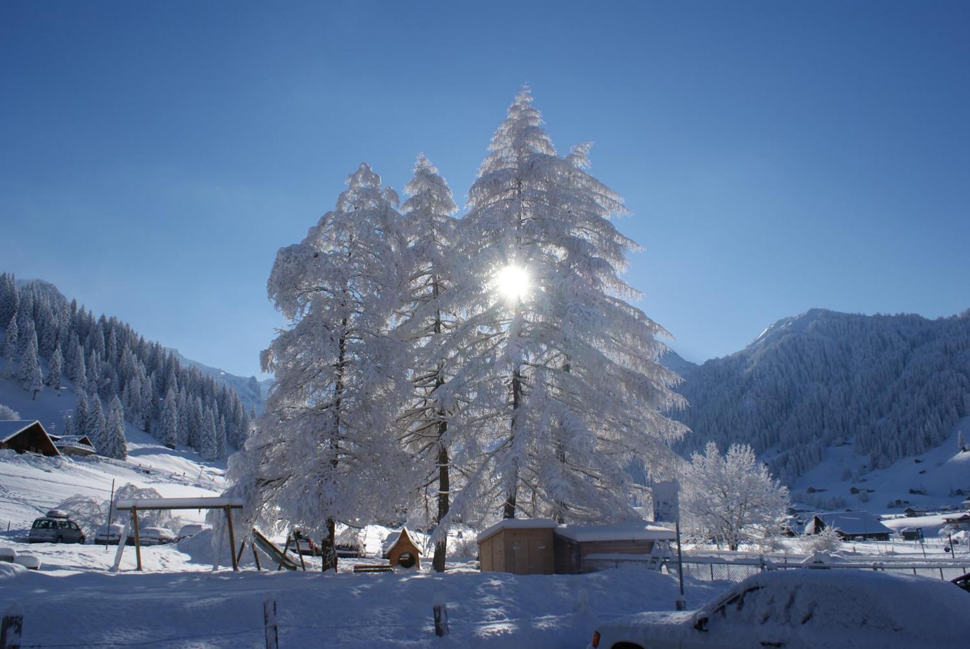 Ferien- Und Familienhotel Alpina Adelboden Exteriör bild